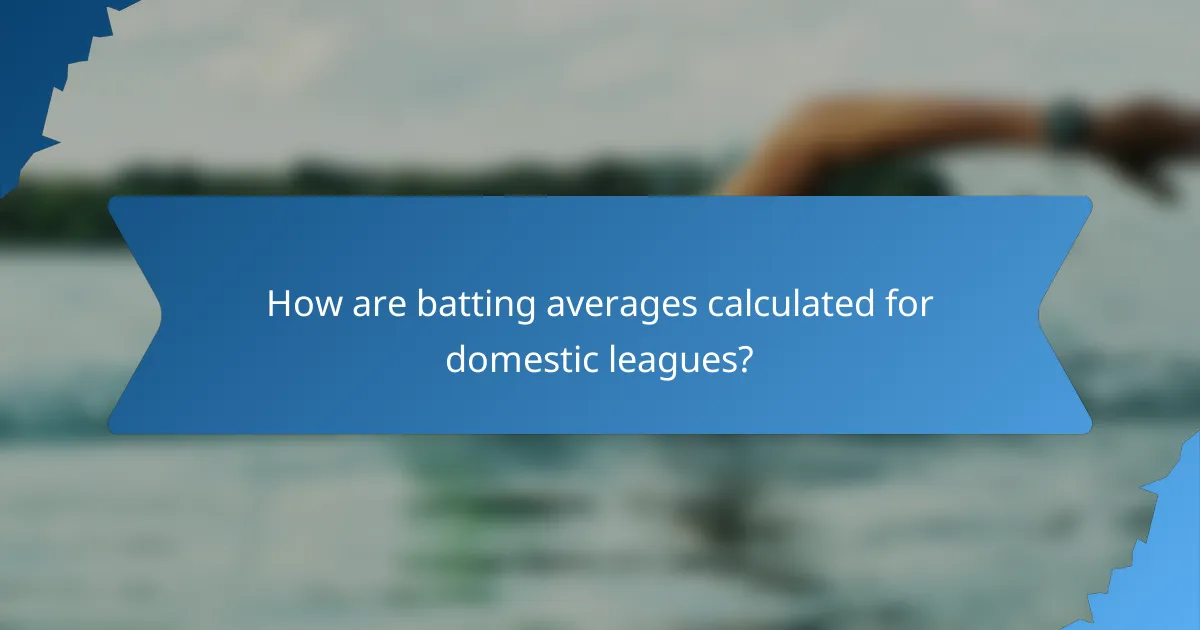 How are batting averages calculated for domestic leagues?