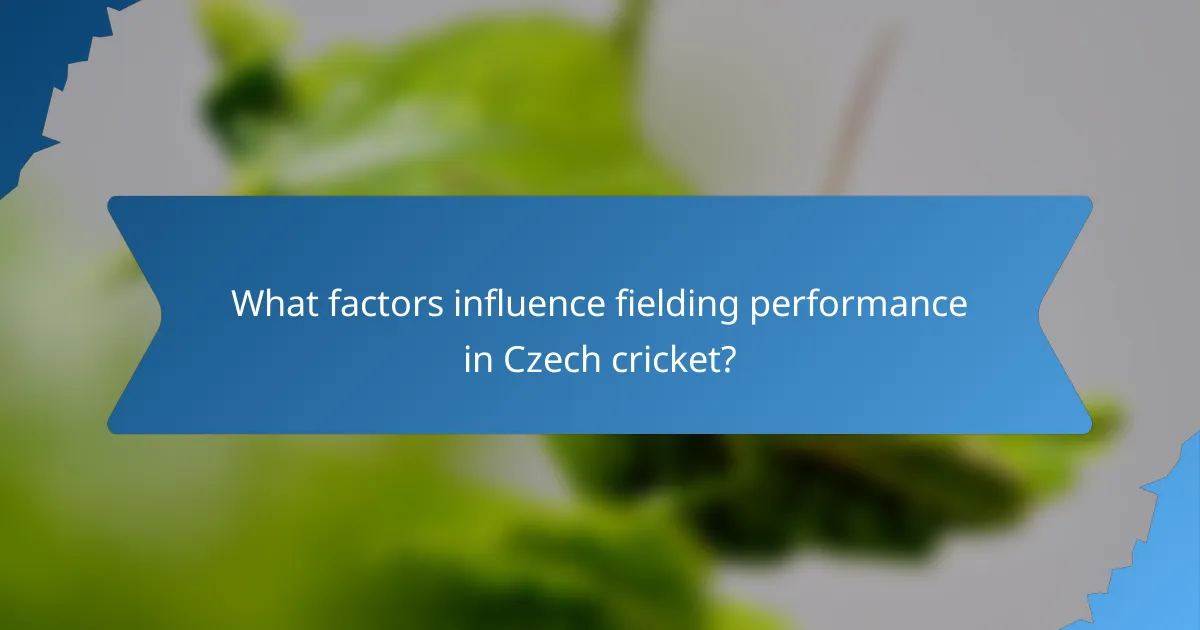 What factors influence fielding performance in Czech cricket?