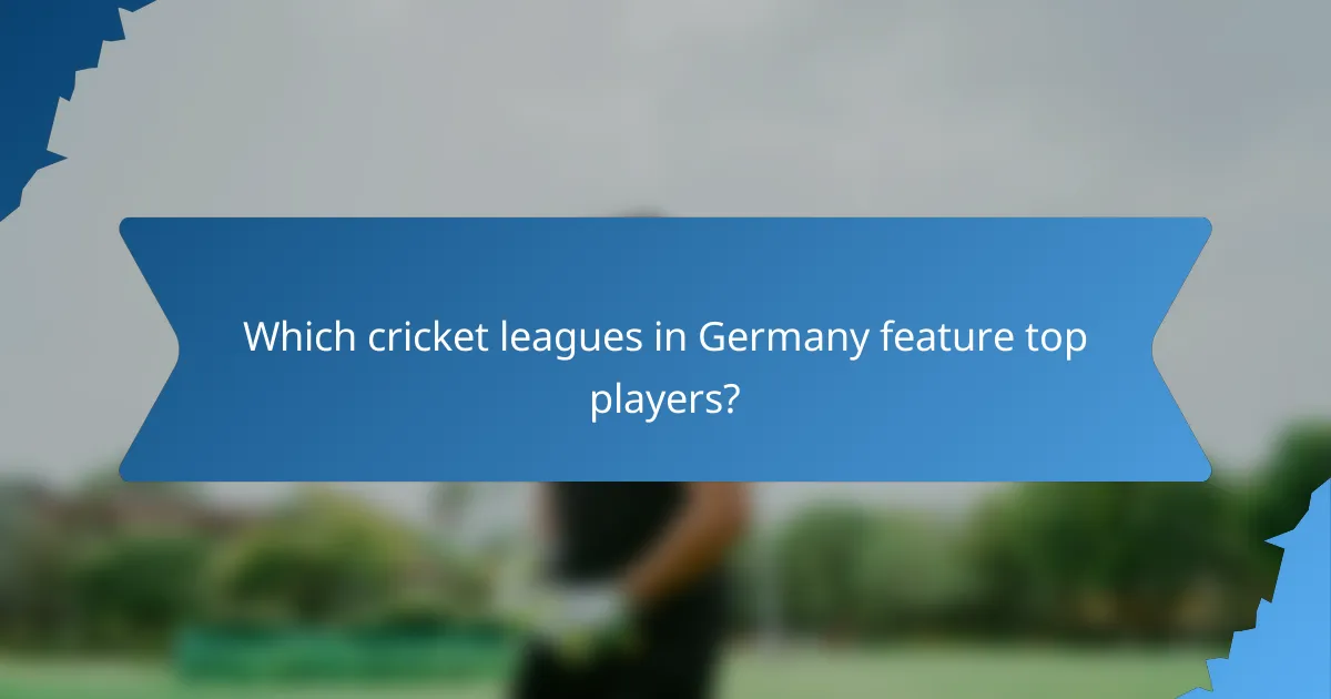 Which cricket leagues in Germany feature top players?